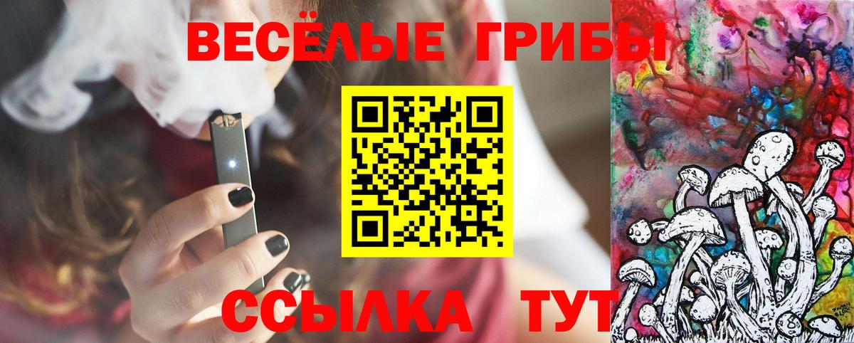 Галлюциногенные грибы Magic Shrooms  Вход с VPN  Реж 